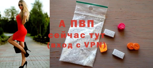 молекула духа Бородино