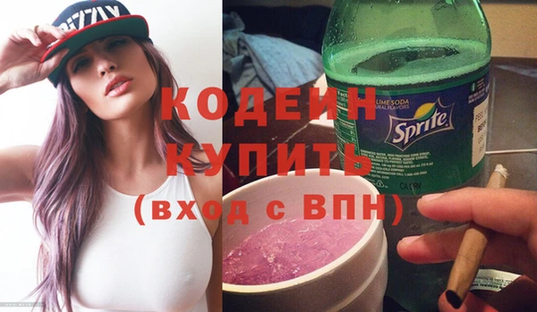 молекула духа Бородино
