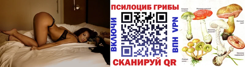 Галлюциногенные грибы GOLDEN TEACHER  где купить наркоту  Пионерский 